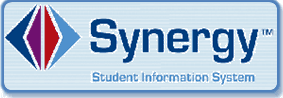 synergysis.gif
