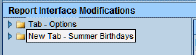 reportinterfacechangemodifications.gif
